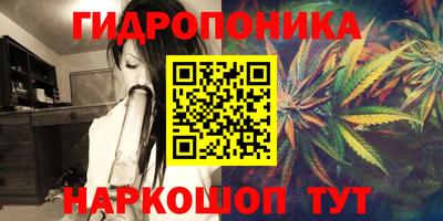 прущая мука Пугачёв