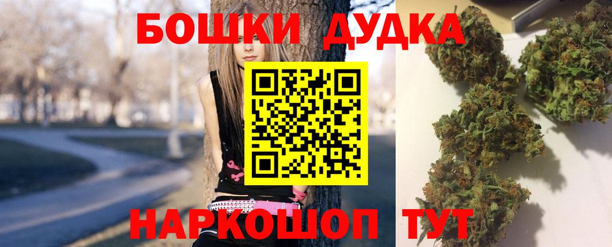 Шишки марихуана сатива  Бошки Шишки Ganja  Марихуана план  Вход с VPN  Сокол 