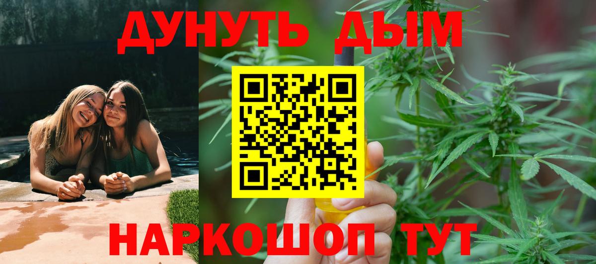 Конопля сатива Сокол
